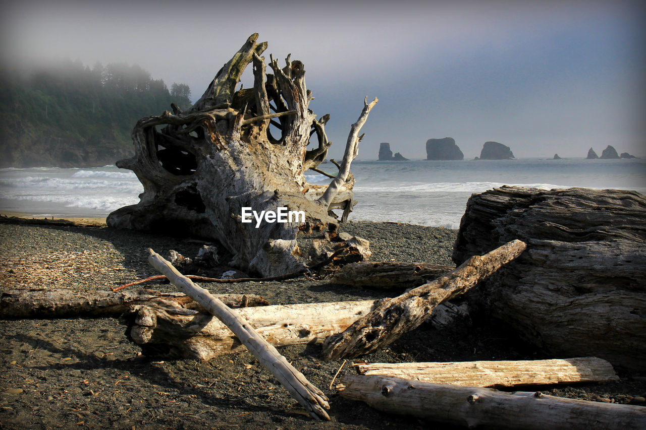 water, rock, nature, sea, land, driftwood, beach, sky, wood, ocean, no people, coast, reflection, outdoors, environment, morning, tree, day, tranquility, wave, scenics - nature, landscape, nautical vessel, coastline, beauty in nature, log, timber, shore, darkness