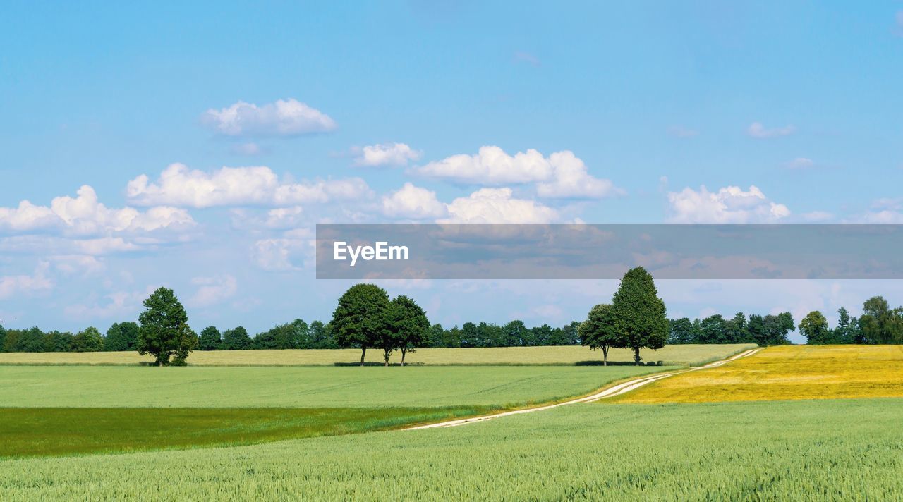 SCENIC VIEW OF FARMS AGAINST SKY