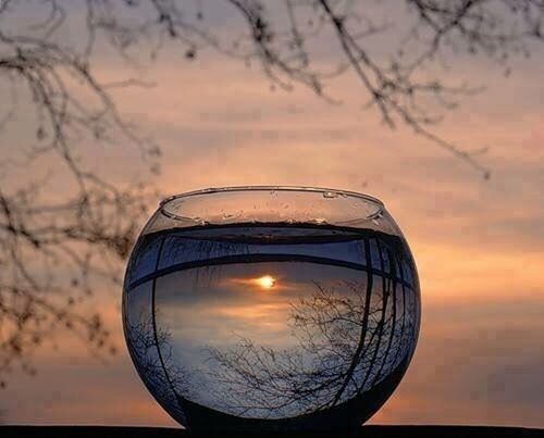 CLOSE-UP OF REFLECTION OF BARE TREE AGAINST SKY