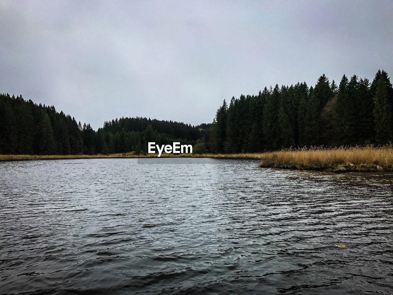 Scenic view of lake by trees against sky