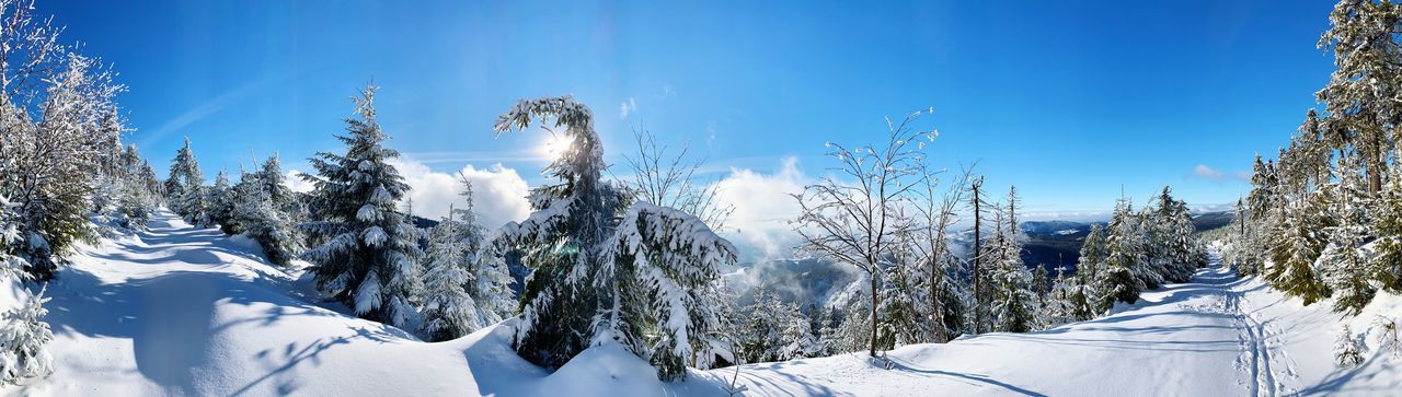 Panoramic shot of snow covered plants against blue sky