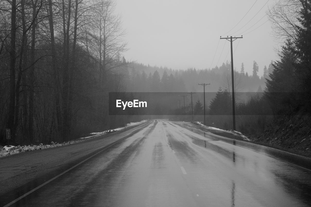 Surface level of empty road in forest