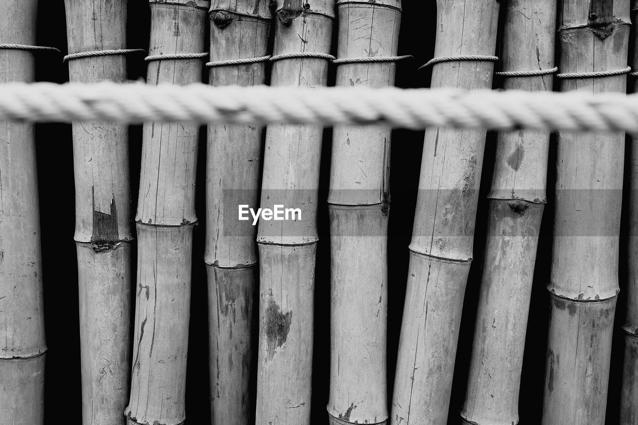 Full frame shot of bamboo fence