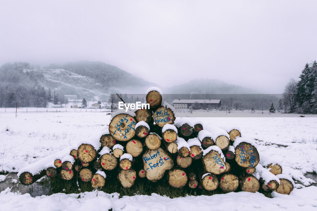 Stack of wooden logs on snow covered field against sky