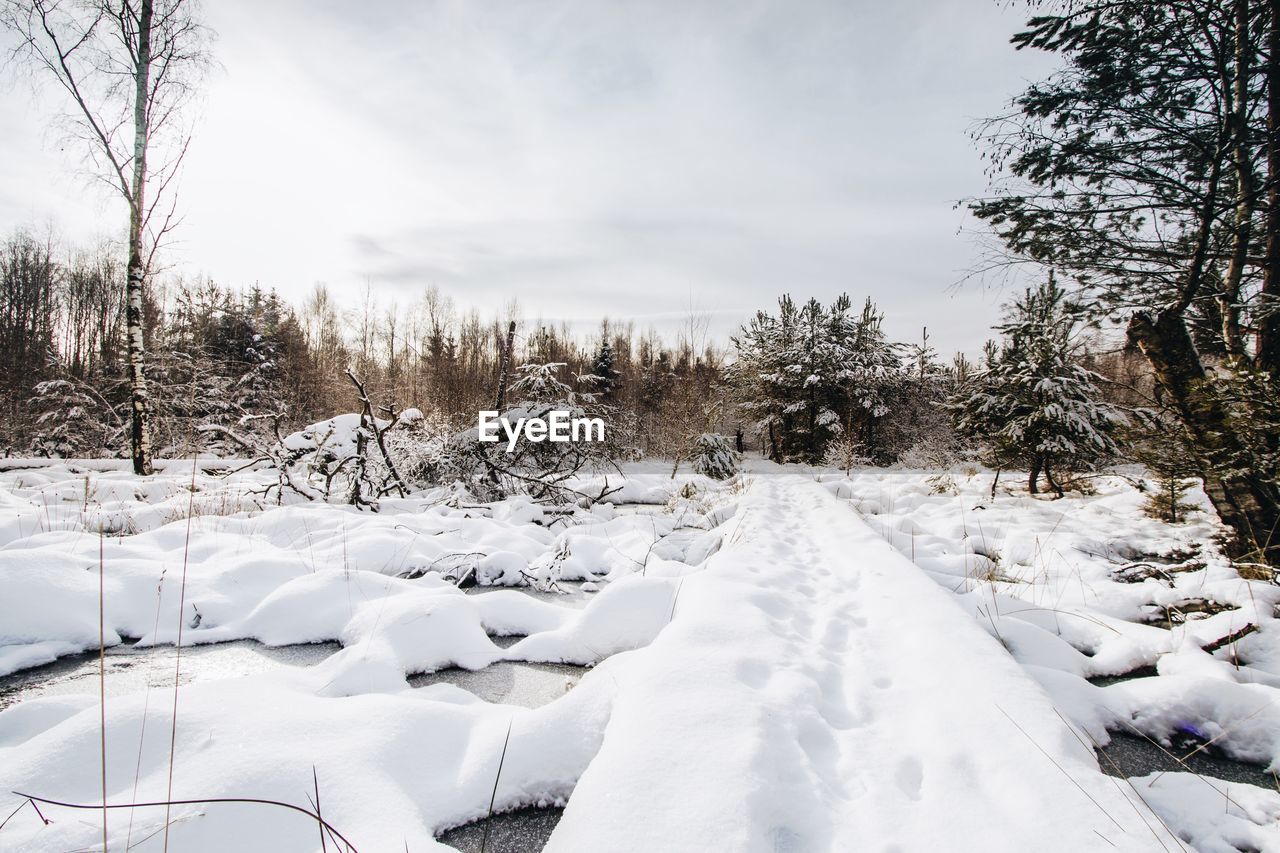 Surface level of snowed pathway along landscape