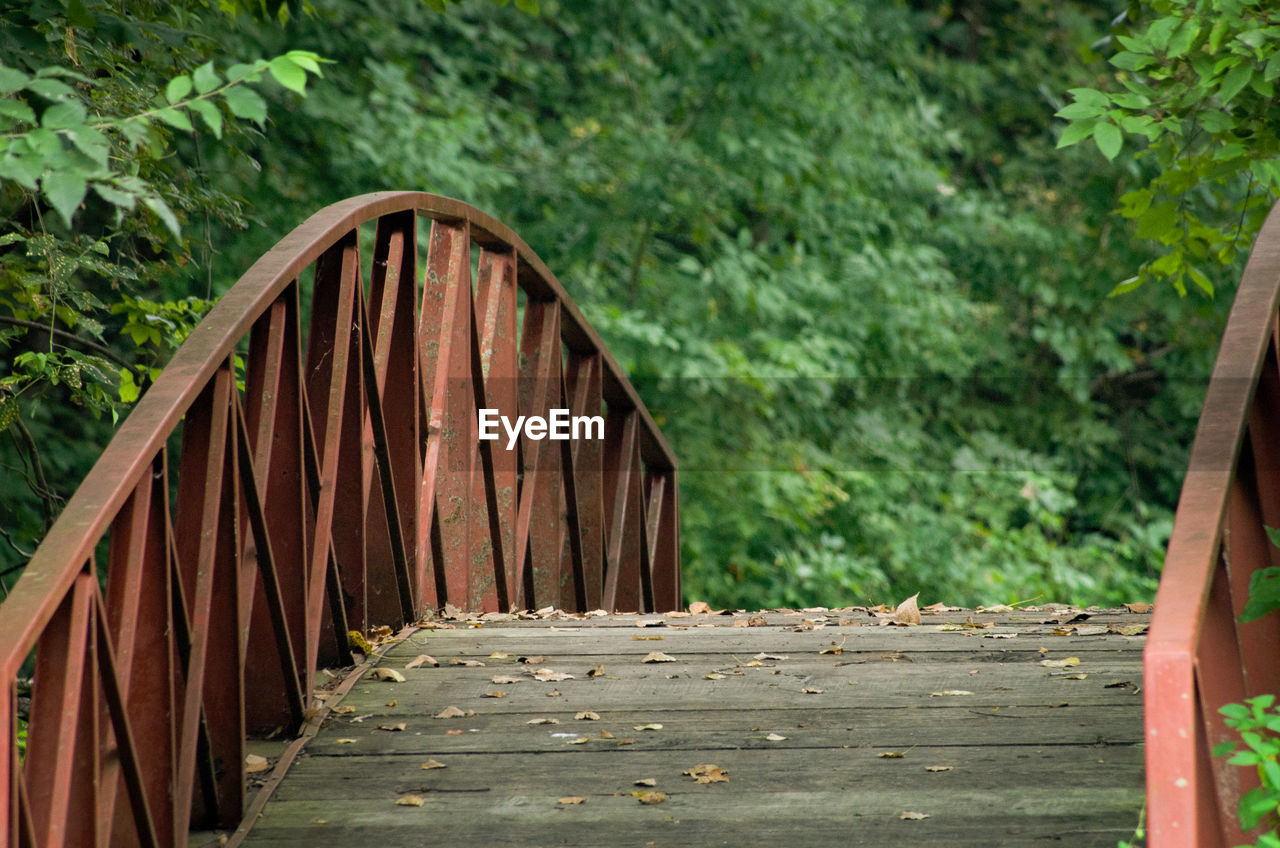 OLD WOODEN BRIDGE IN FOREST