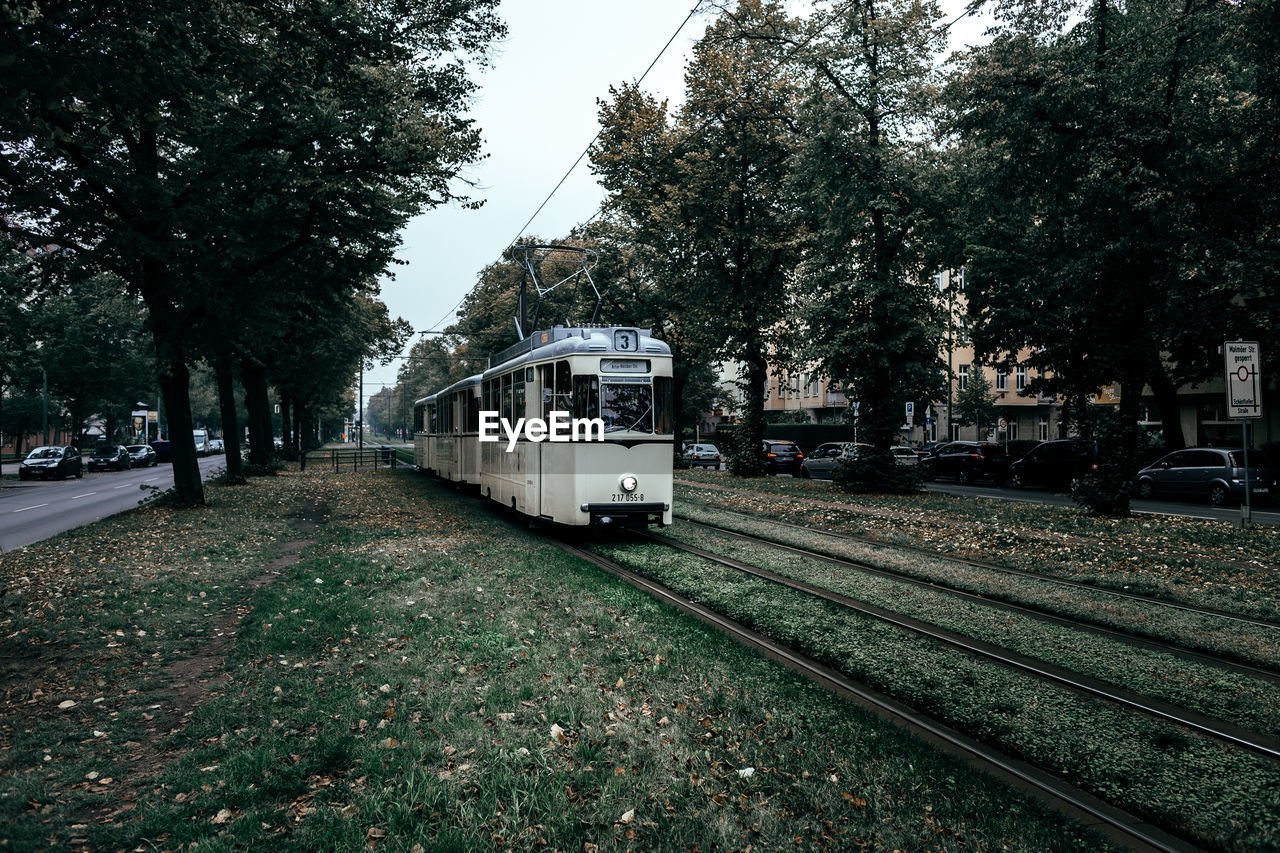 RAILROAD TRACKS BY TREES AGAINST SKY