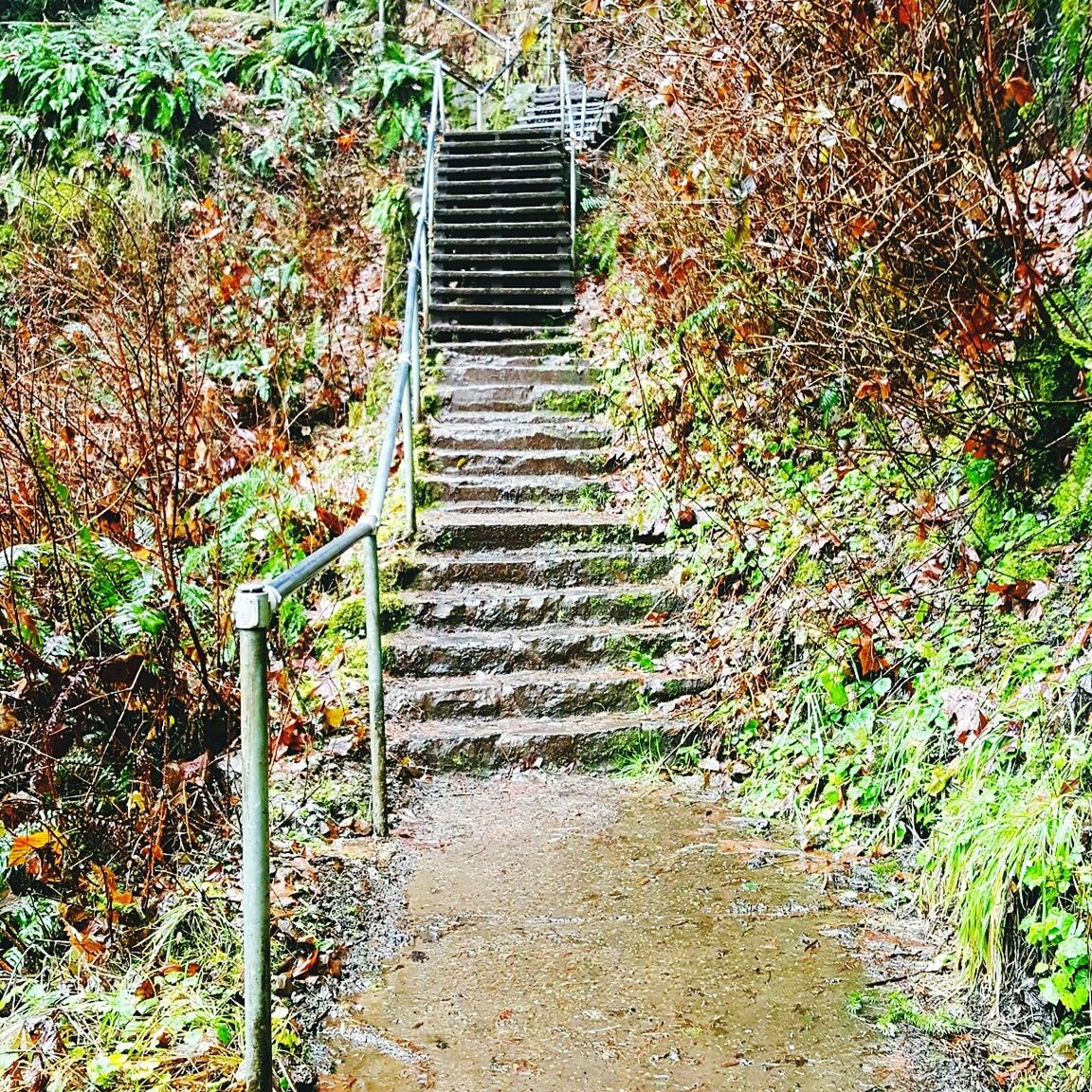 STAIRCASE IN PARK