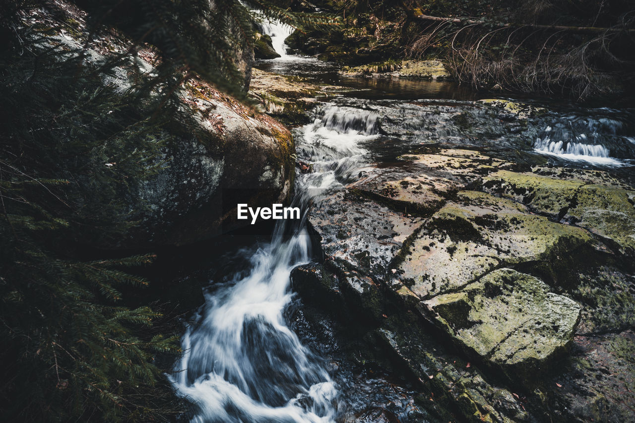 Scenic view of waterfall in forest