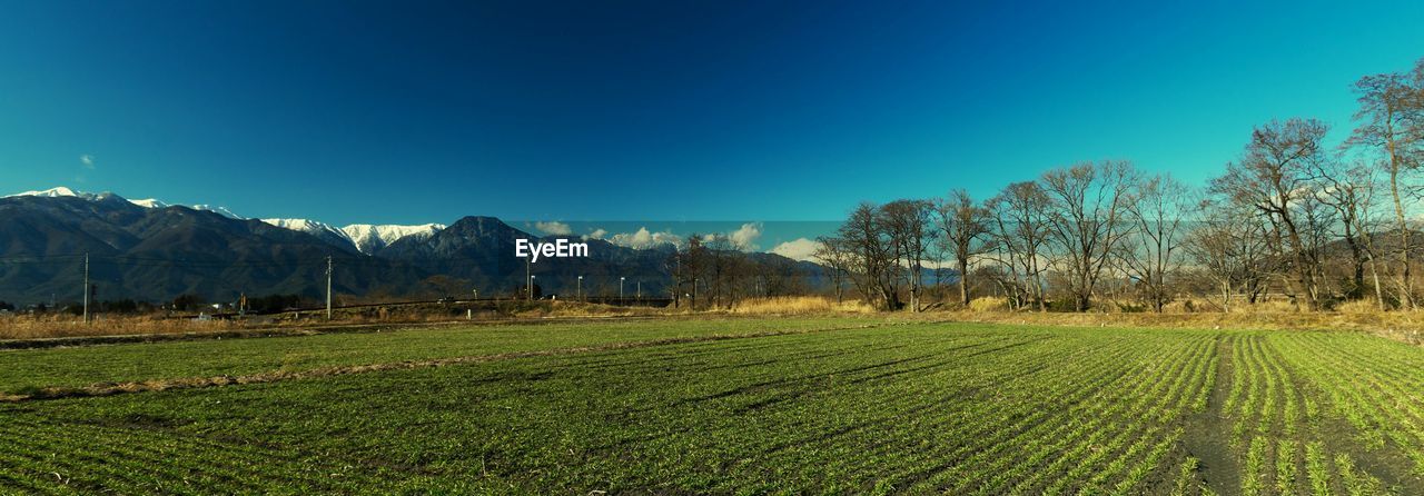 SCENIC VIEW OF LANDSCAPE AGAINST BLUE SKY