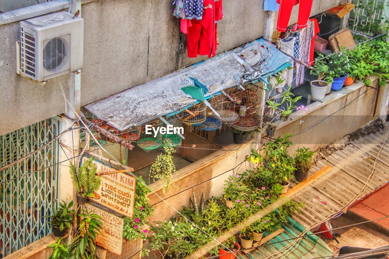 LOW ANGLE VIEW OF POTTED PLANTS HANGING ON BUILDING