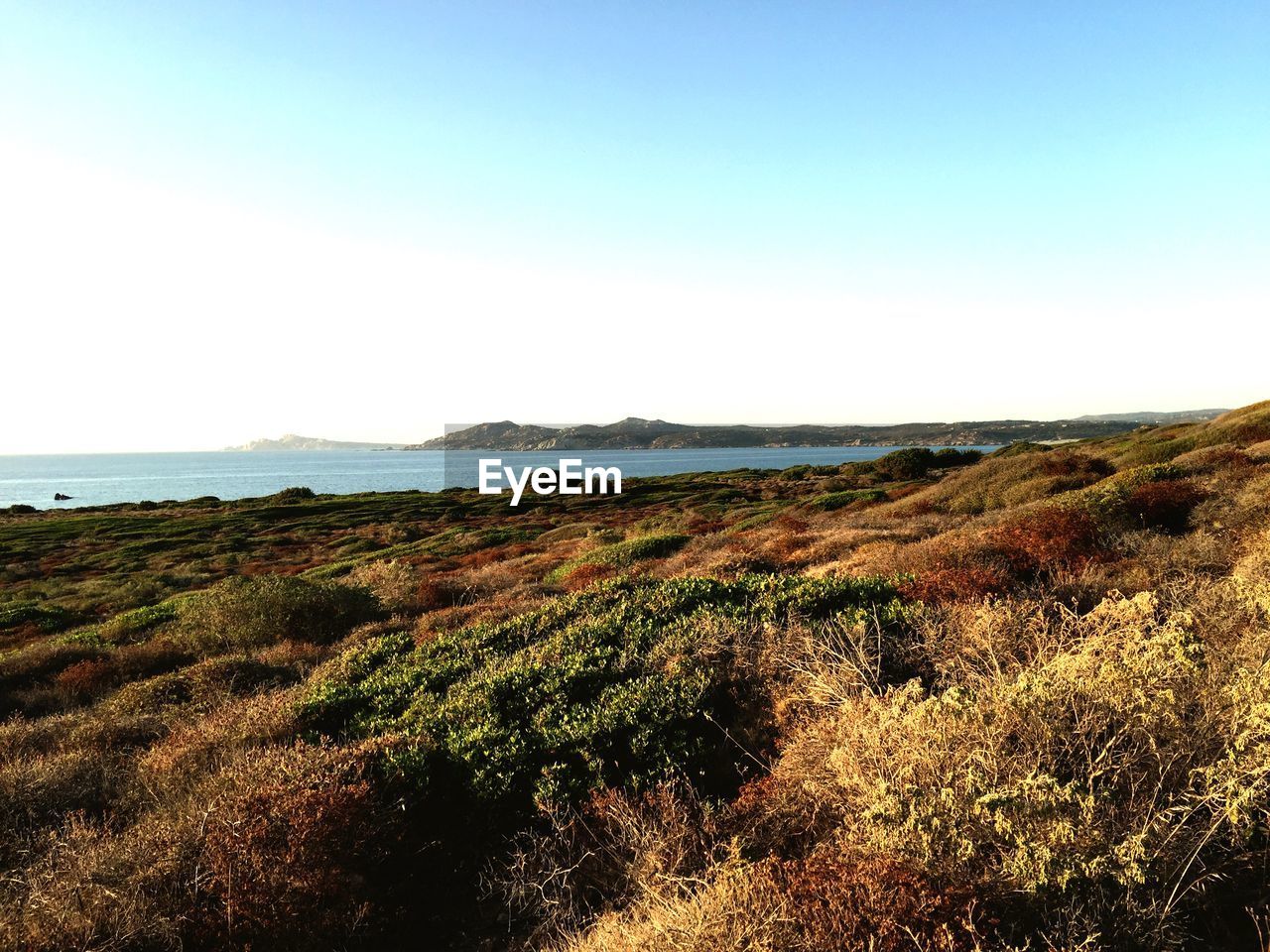 Scenic view of sea against clear sky