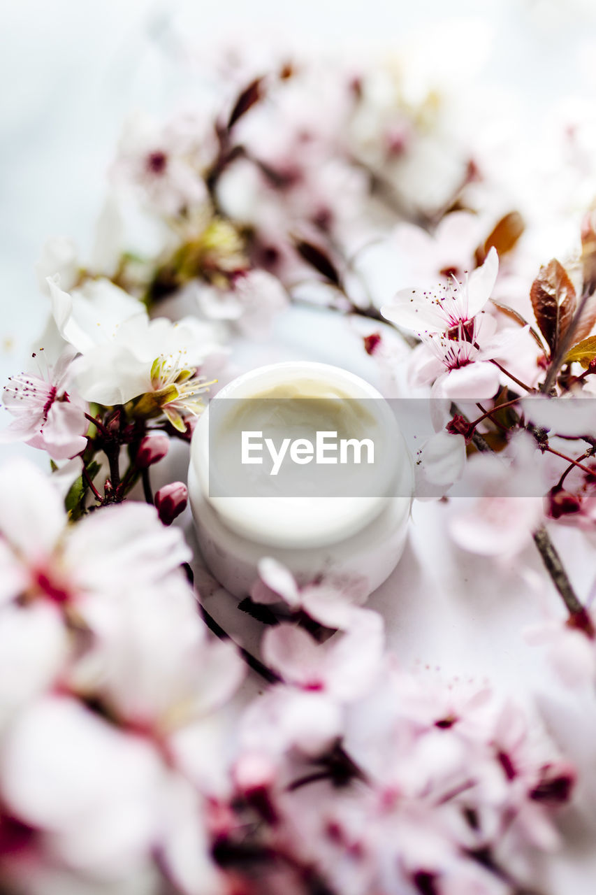 Op view of cosmetic cream with pink cherry flowers in a blue glass jar. hygienic skincare lotion