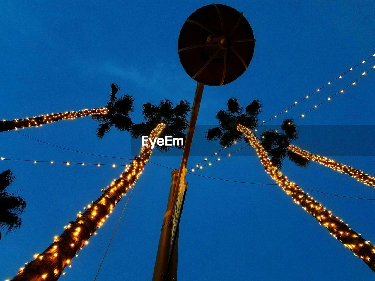 LOW ANGLE VIEW OF PALM TREE AGAINST BLUE SKY