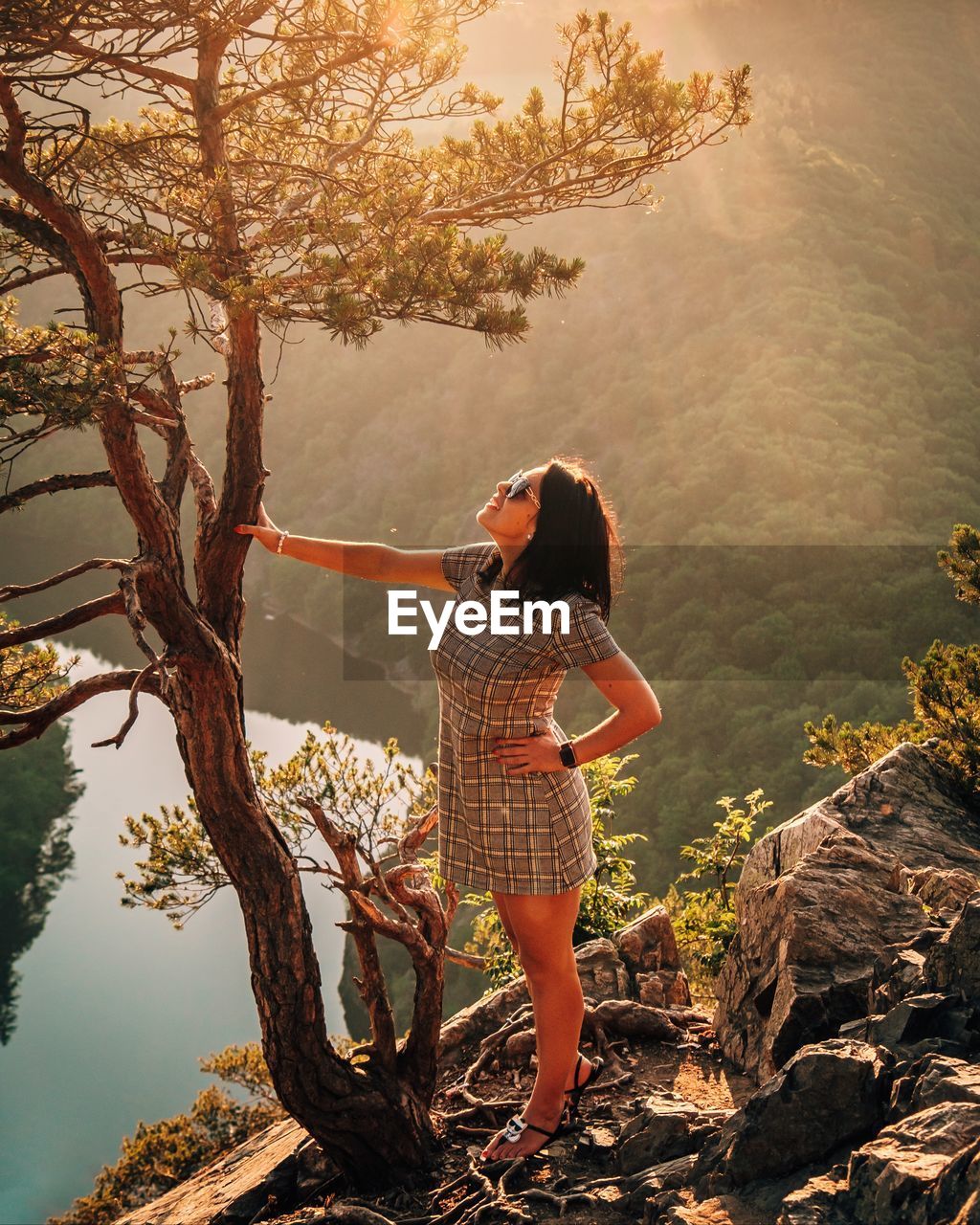 Woman standing by tree against valley during sunset