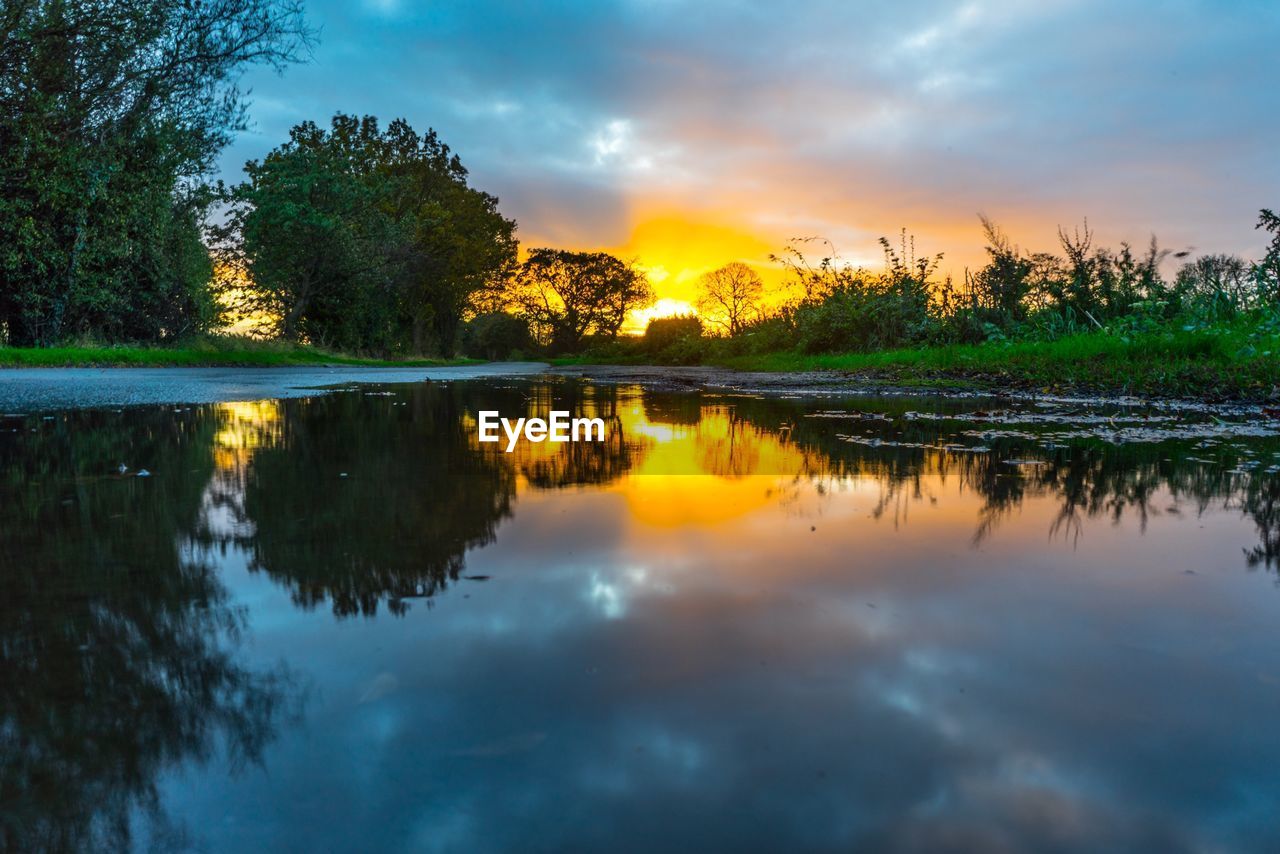 REFLECTION OF TREES IN LAKE DURING SUNSET