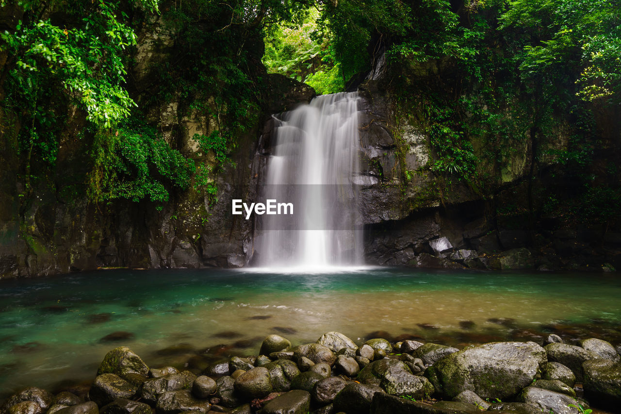 Scenic view of waterfall in forest