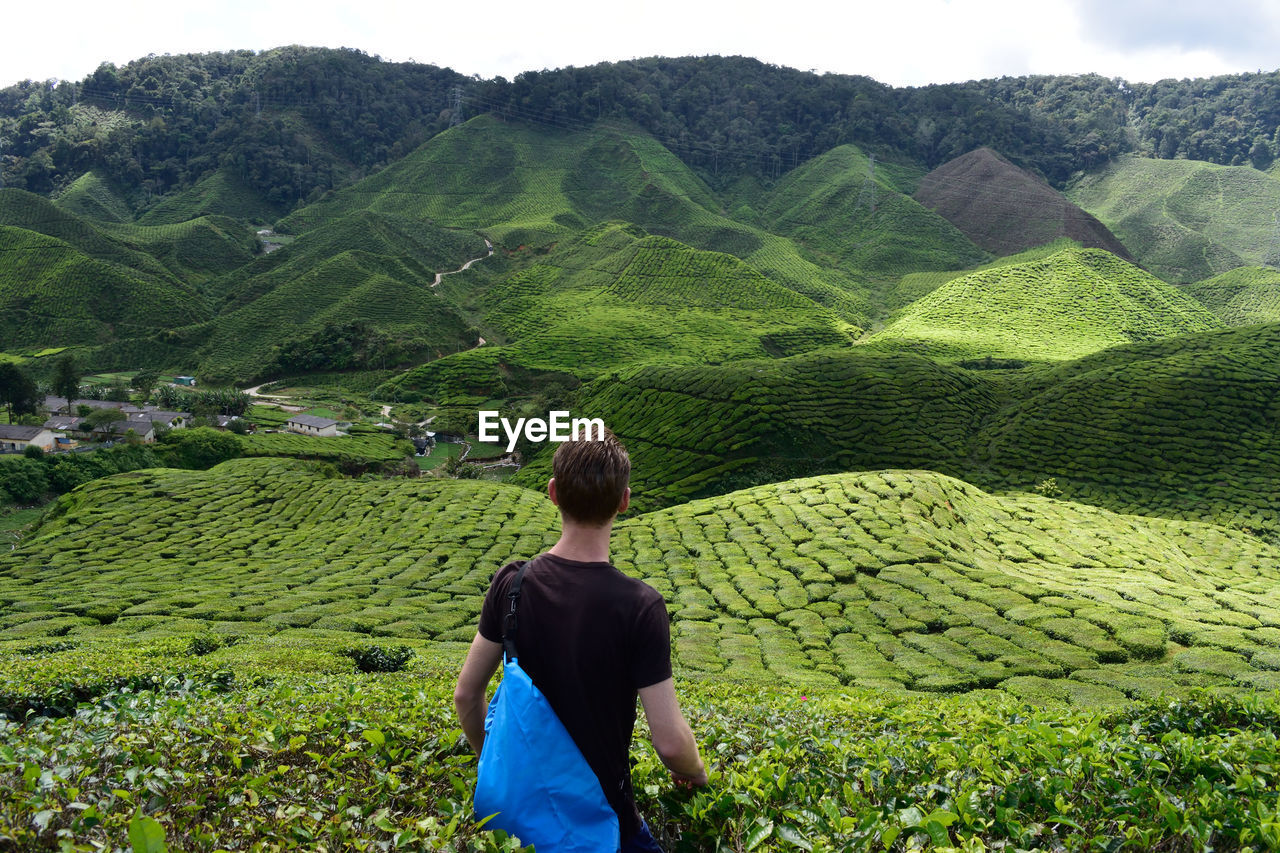 Rear view of young man working in farm