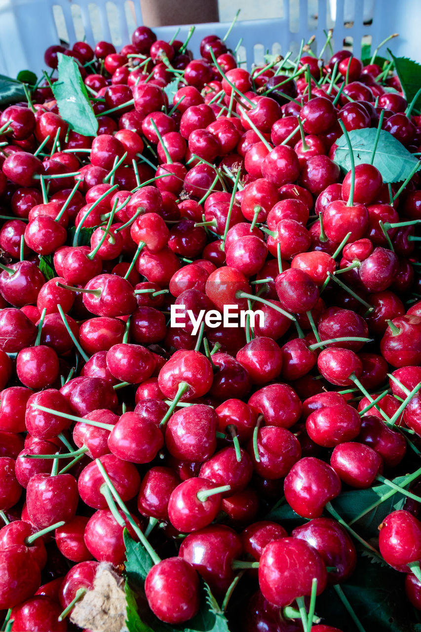 CLOSE-UP OF RED FRUITS FOR SALE