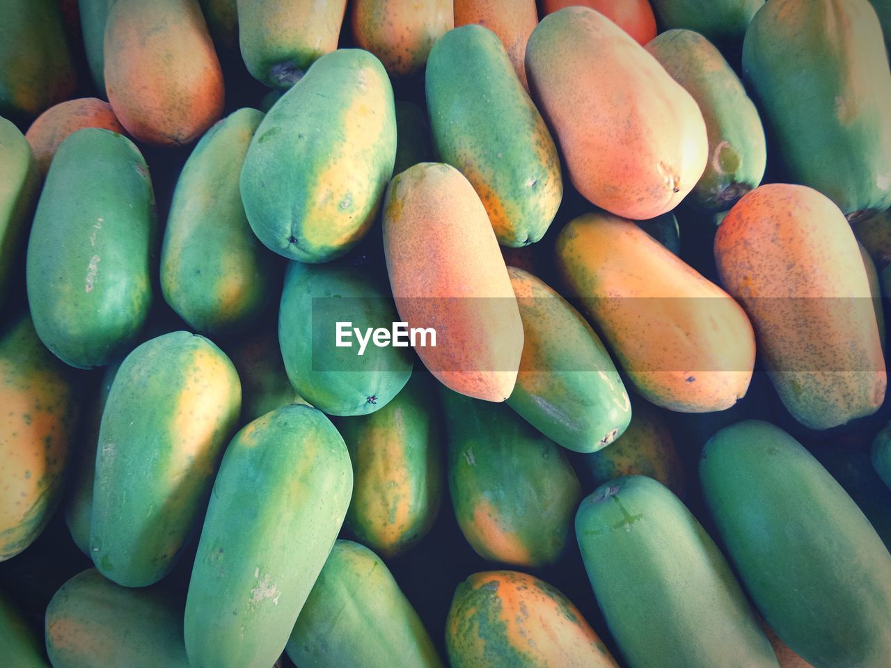 Full frame shot of fruits for sale.papaya fruit background. 