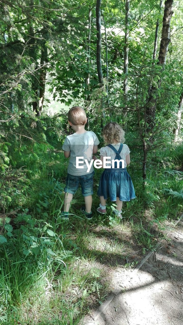 Full length rear view of siblings standing by plants at park