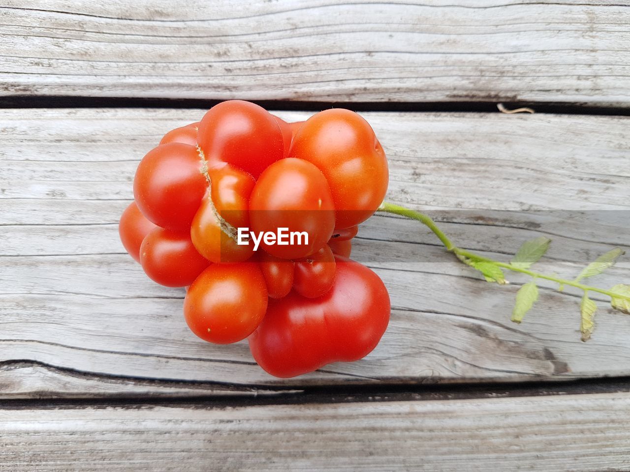 High angle view of cherry tomatoes on table