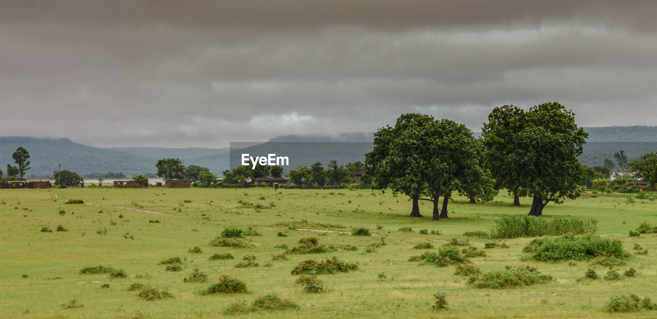 SCENIC VIEW OF LAND AGAINST SKY
