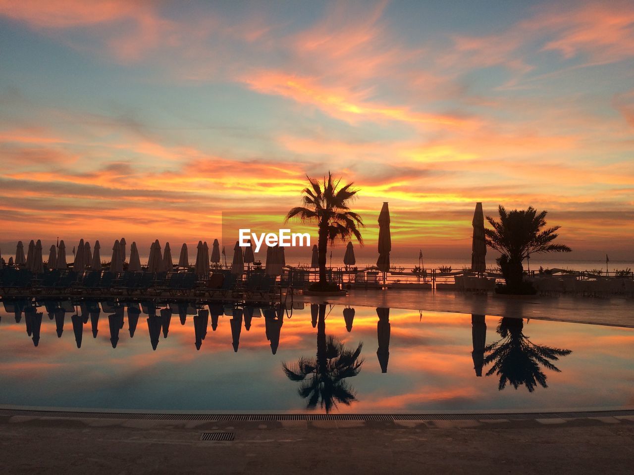 SILHOUETTE PALM TREE BY SWIMMING POOL AGAINST SKY DURING SUNSET