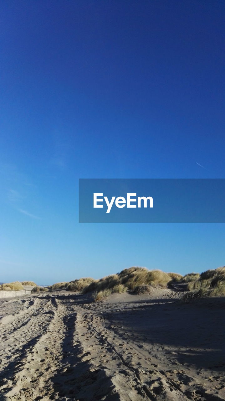 Scenic view of beach against blue sky