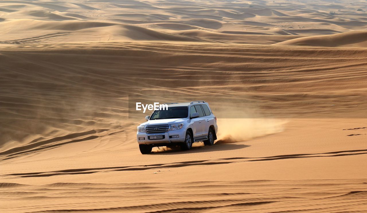 VIEW OF DESERT AT SUNSET