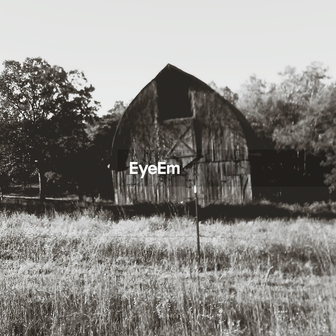 ABANDONED HOUSE IN GRASSY FIELD AGAINST CLEAR SKY