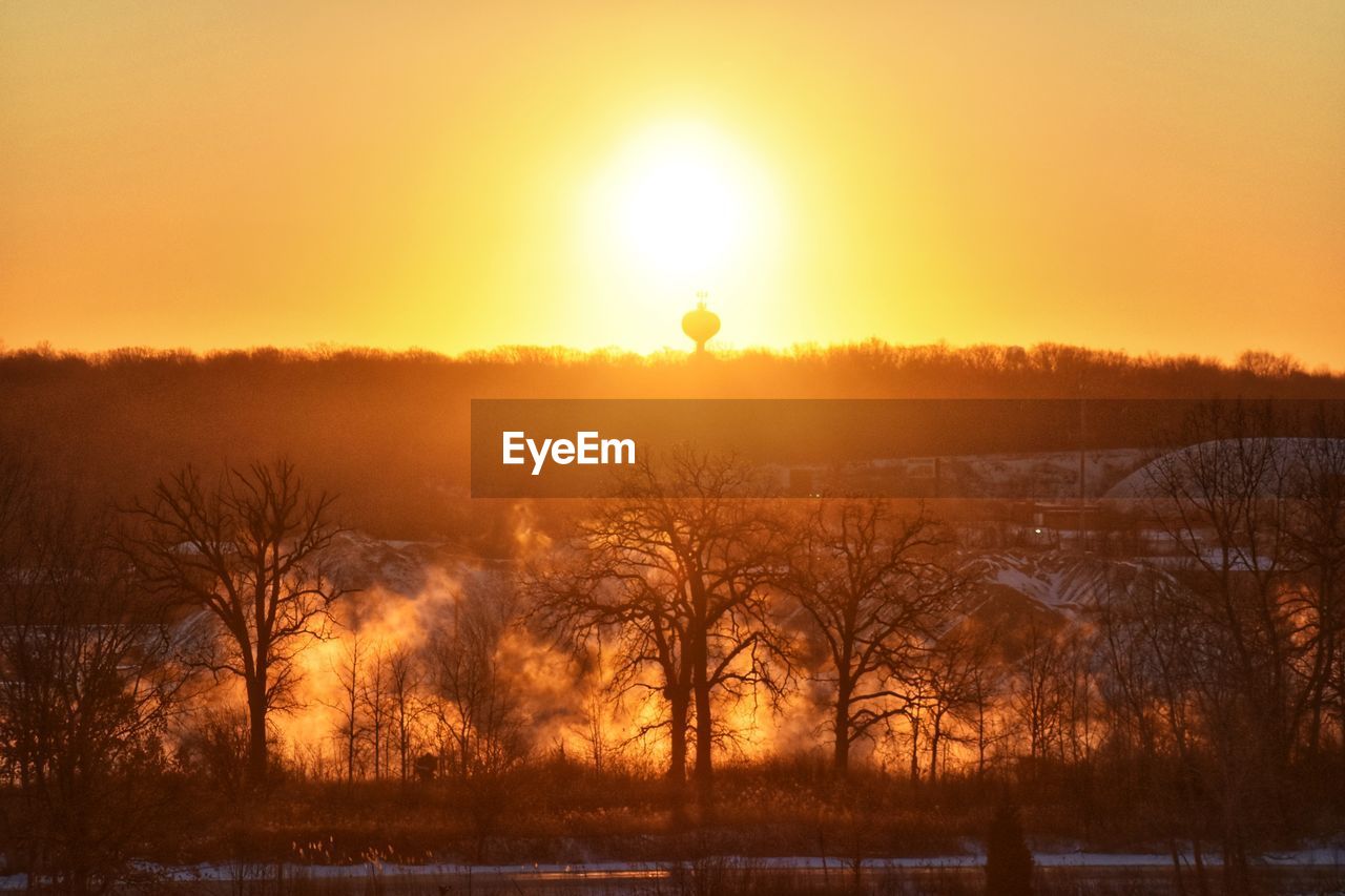 BARE TREES ON FIELD DURING SUNSET