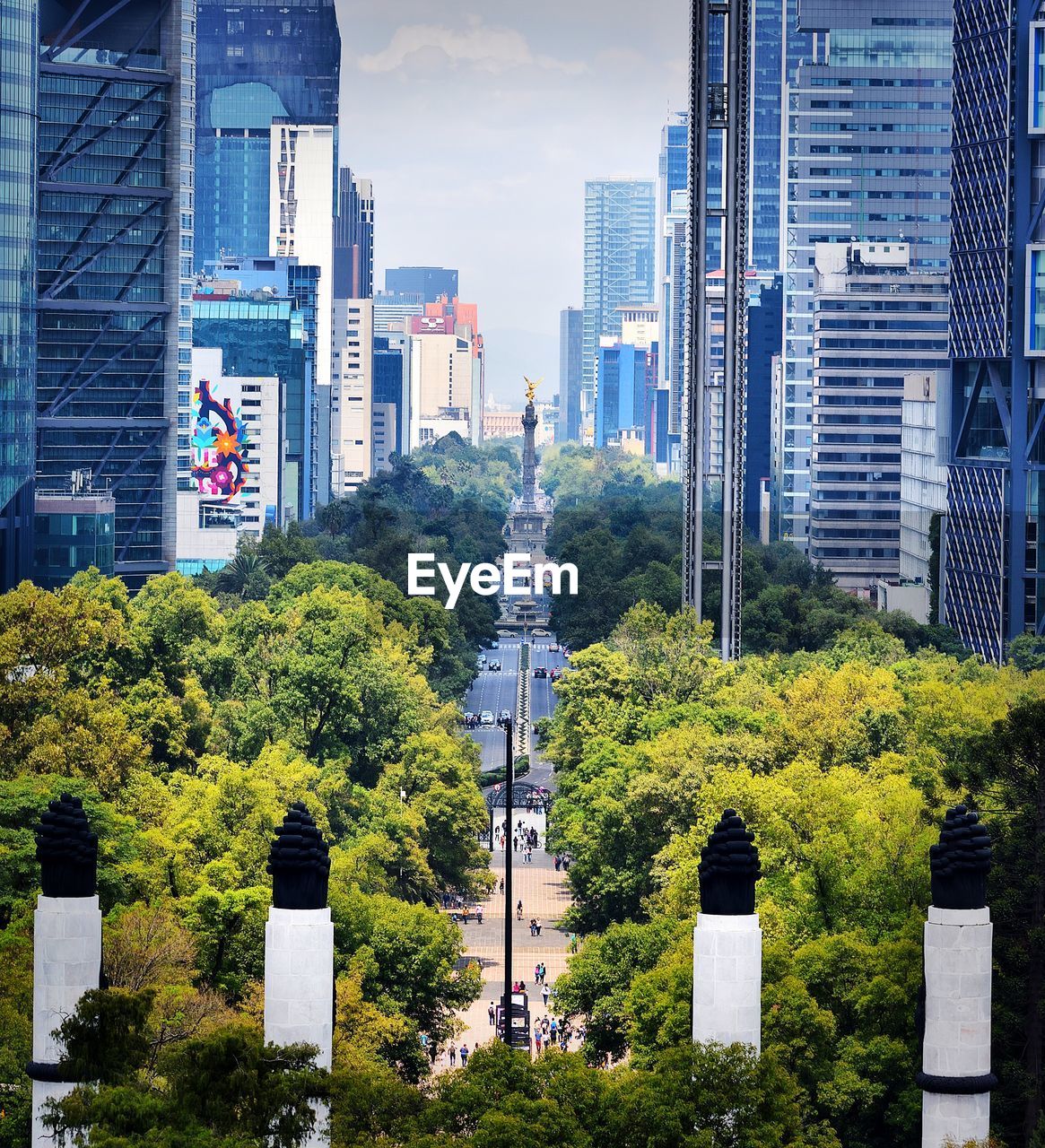 Trees and modern buildings in city against sky