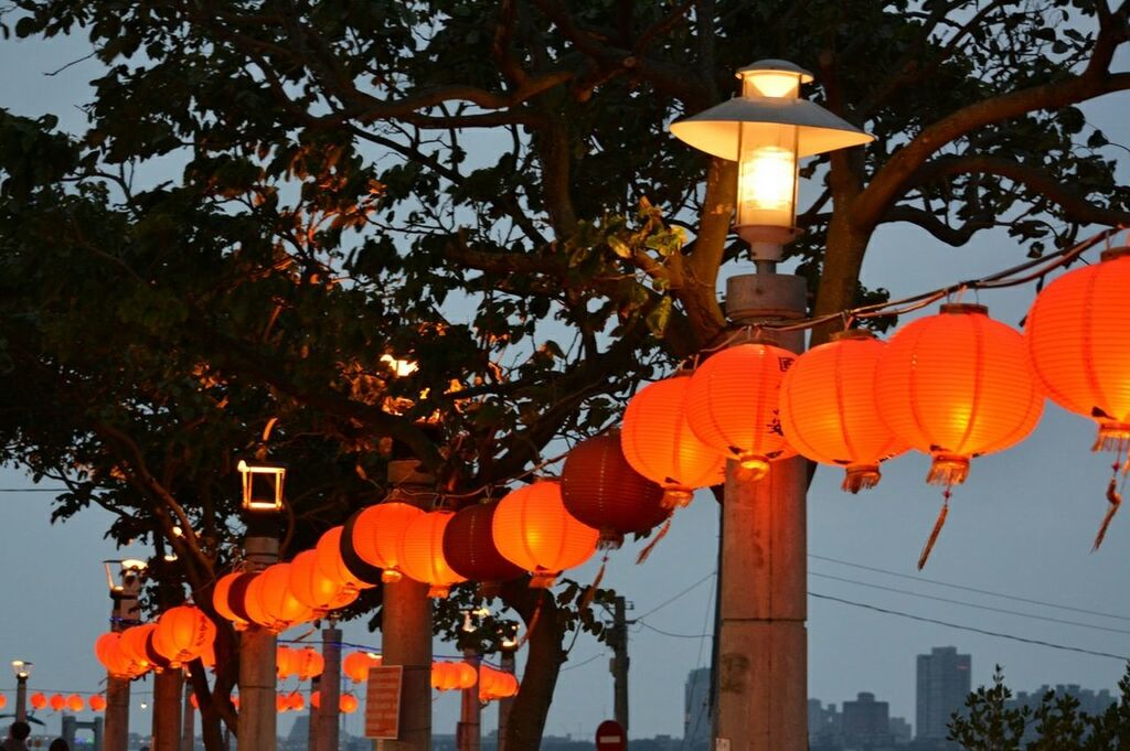 Chinese lanterns hanging by trees at dusk