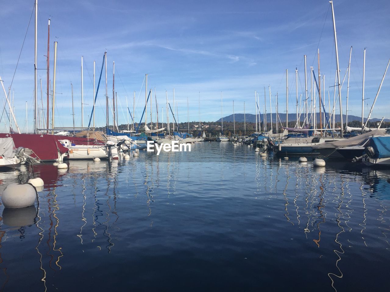 SAILBOATS IN MARINA