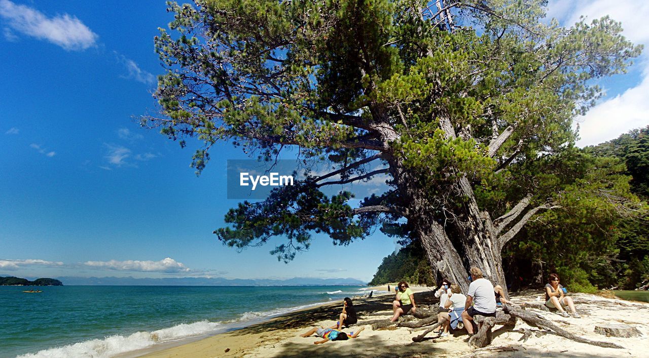 People relaxing under tree at beach