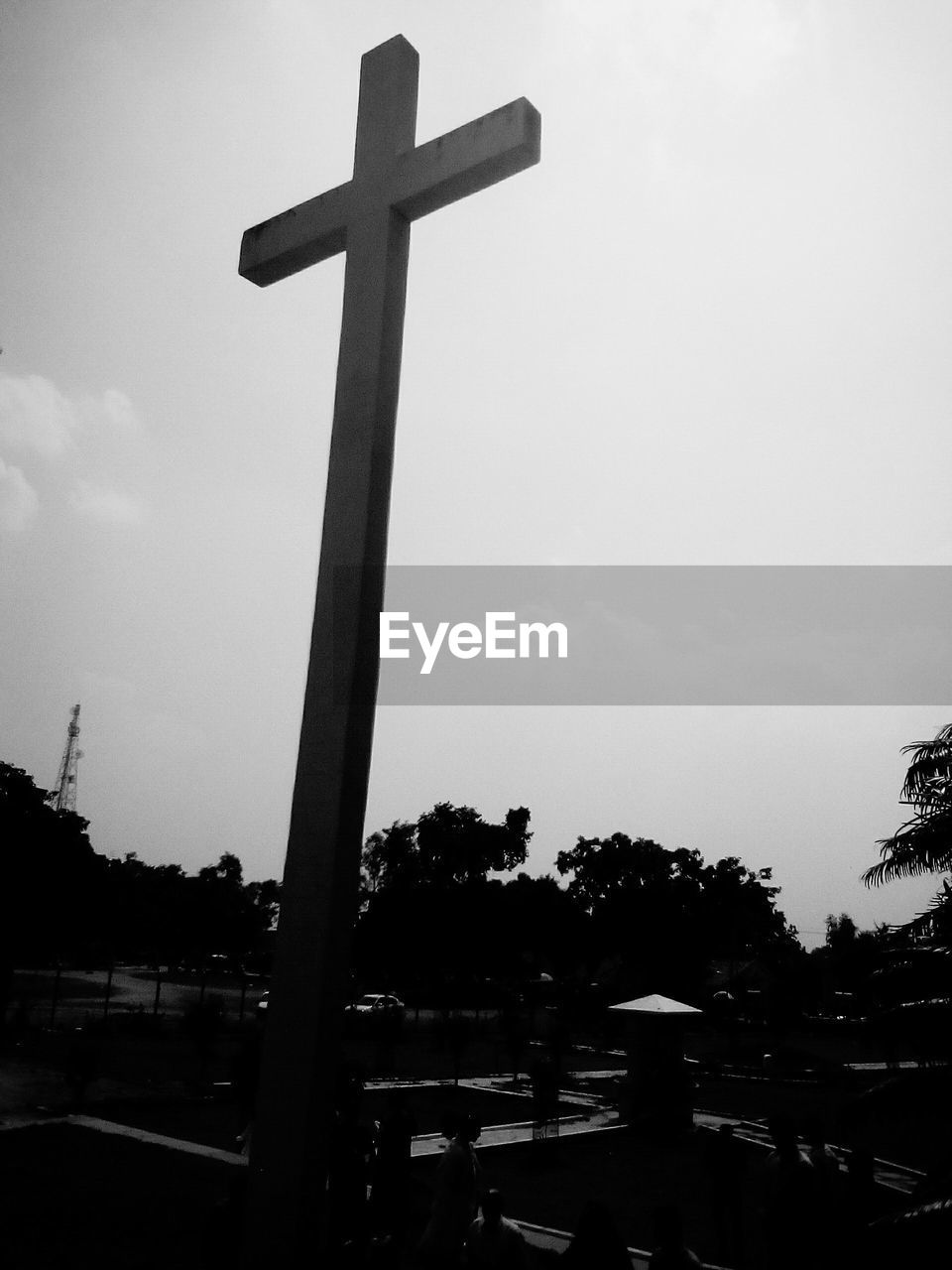 CROSS ON TREE TRUNK