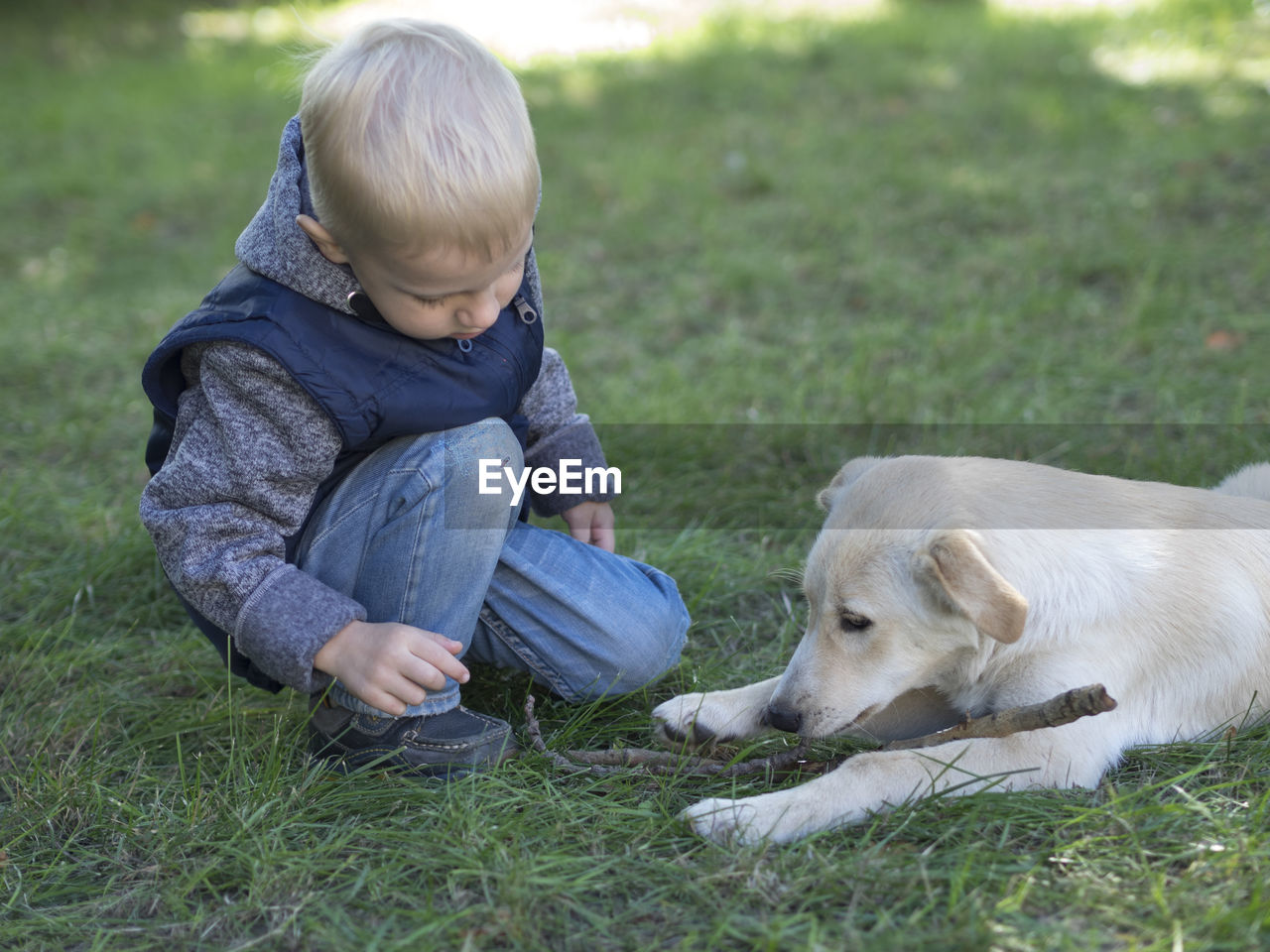 Cute boy playing with dog while kneeling on grassy field