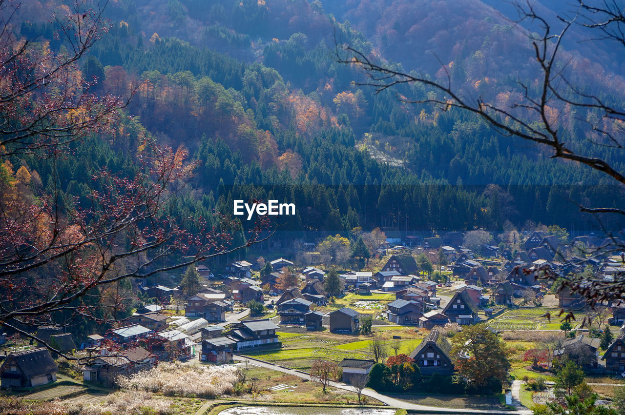 High angle view of trees and buildings during autumn