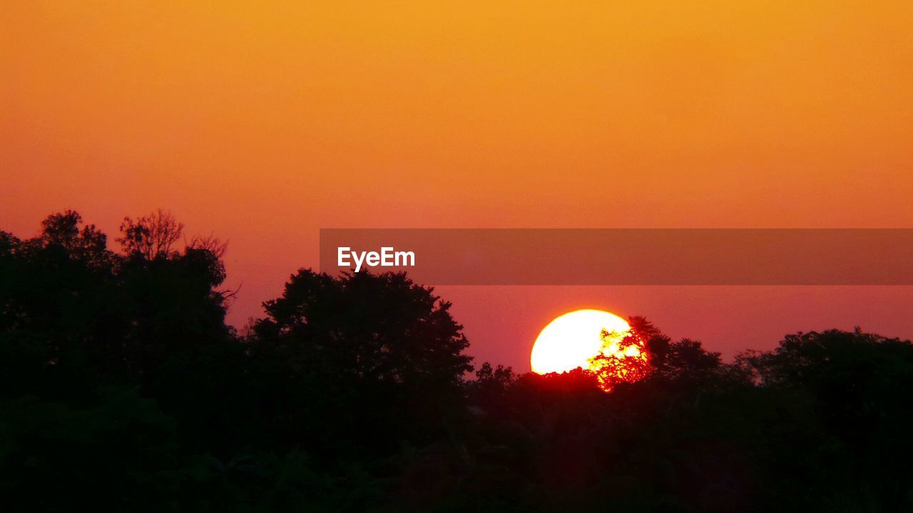 Idyllic shot of silhouette trees against orange sunset sky