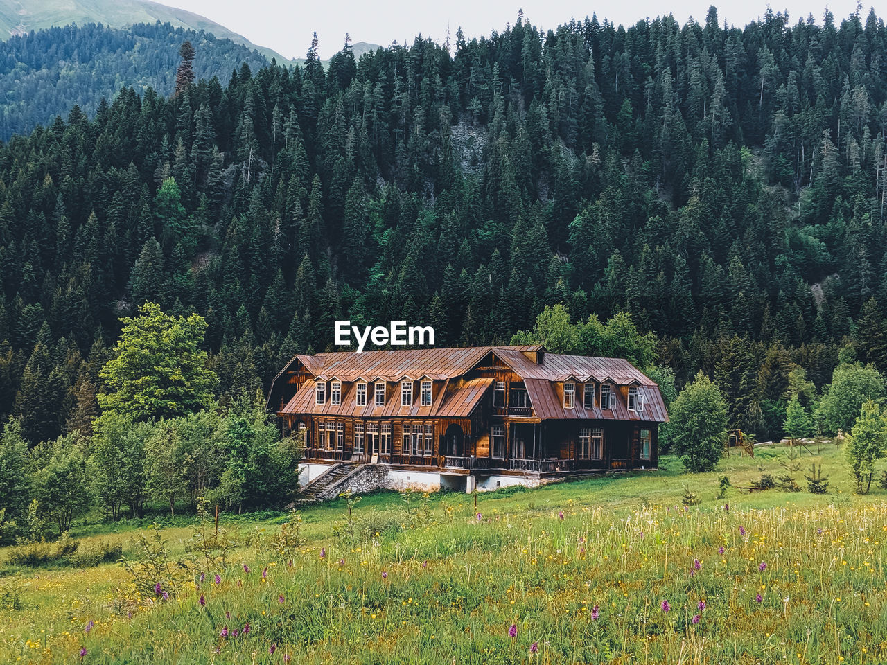 Wooden house in the forrest