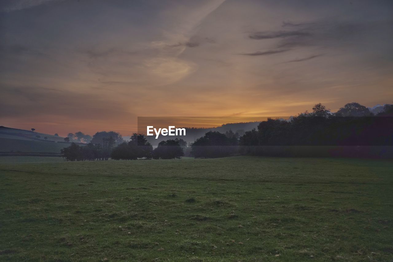 TREES ON FIELD AGAINST SKY DURING SUNSET