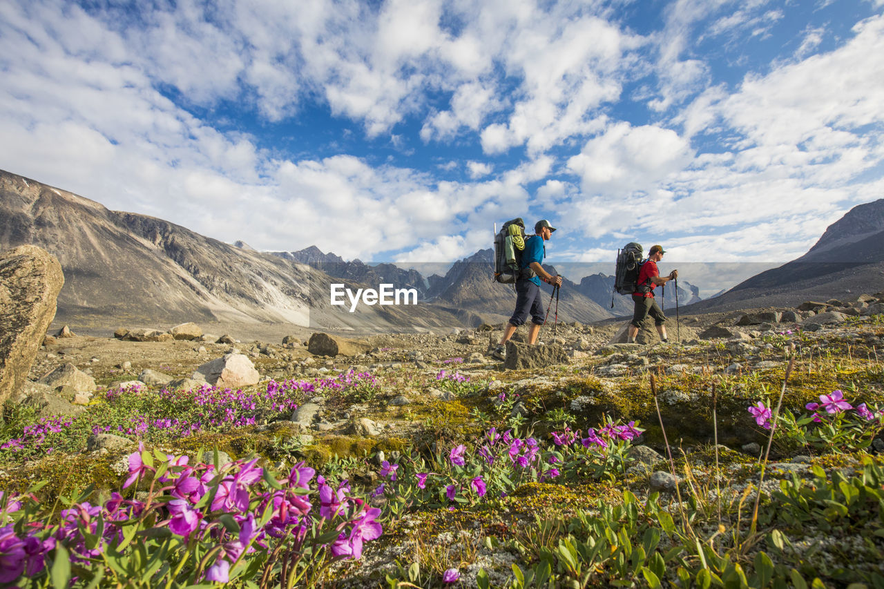 Two backpackers hiking through lush alpine meadow, akshayak p