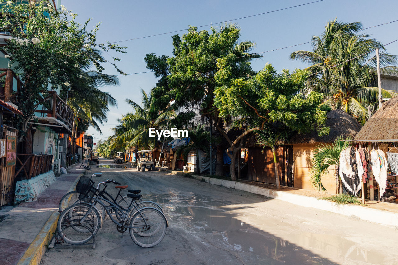 tree, town, transportation, bicycle, palm tree, tropical climate, plant, architecture, city, neighbourhood, tourism, vacation, street, mode of transportation, road, nature, building exterior, built structure, urban area, sky, village, day, vehicle, travel, rickshaw, residential area, travel destinations, land vehicle, building, outdoors, sunlight, bicycle wheel, residential district, cycling, wheel, water, footpath, no people, city street