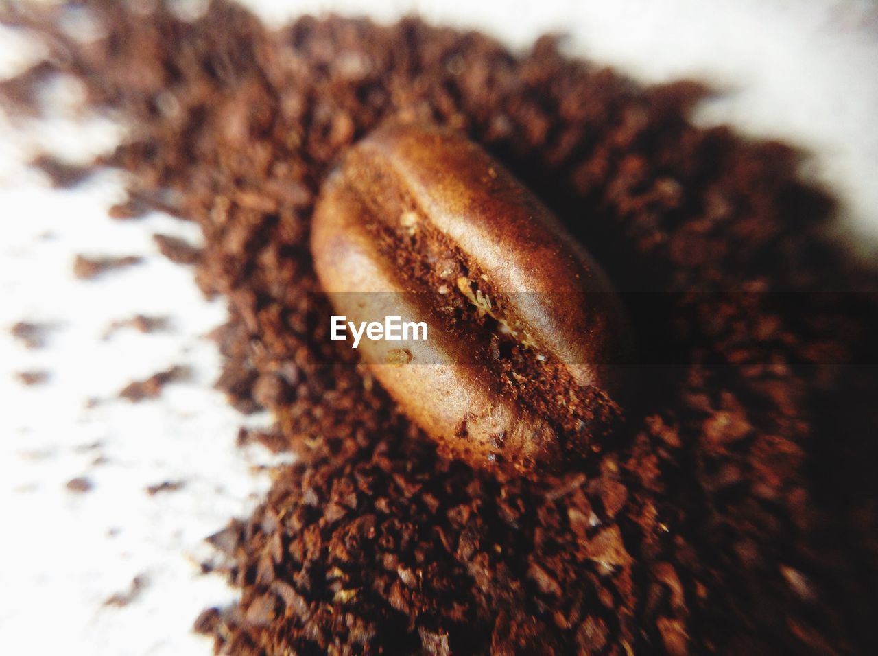 Close-up of coffee bean 