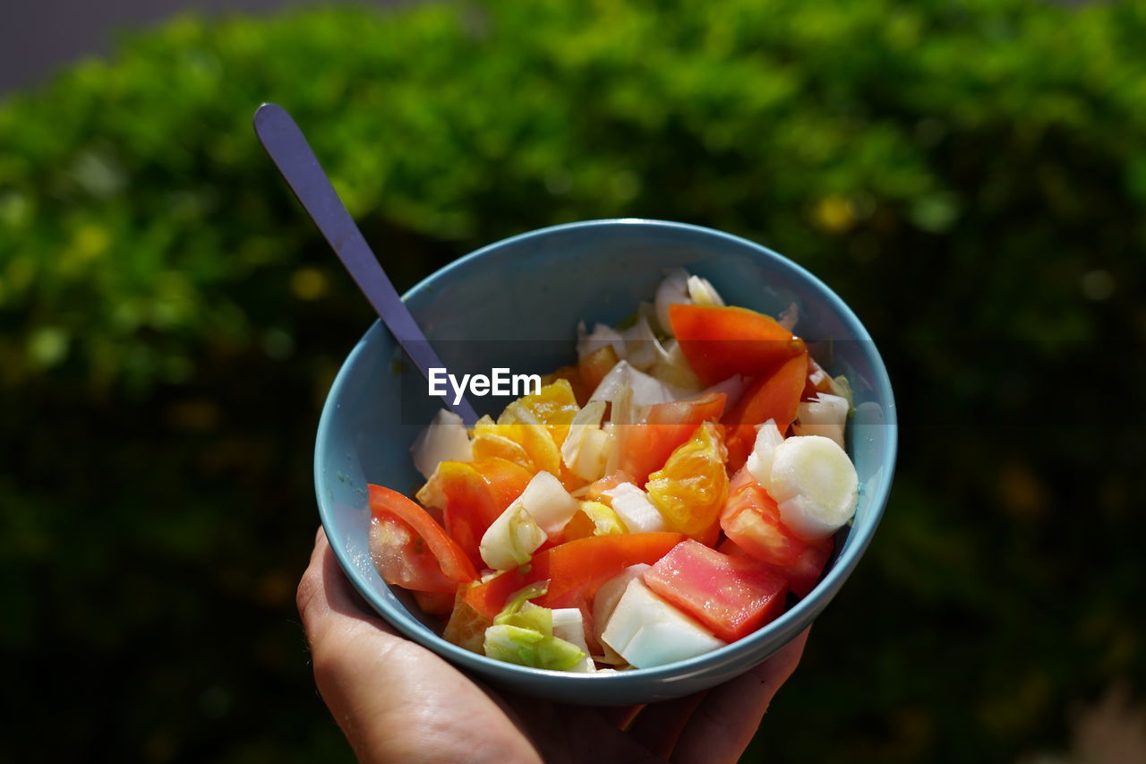 MIDSECTION OF PERSON HOLDING FRUITS IN BOWL AGAINST CONTAINER