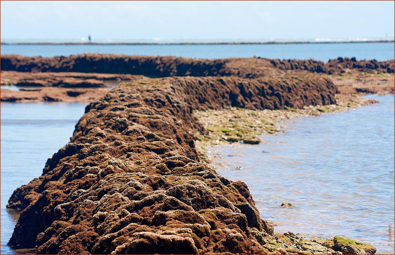 CLOSE-UP OF SEA SHORE AT BEACH