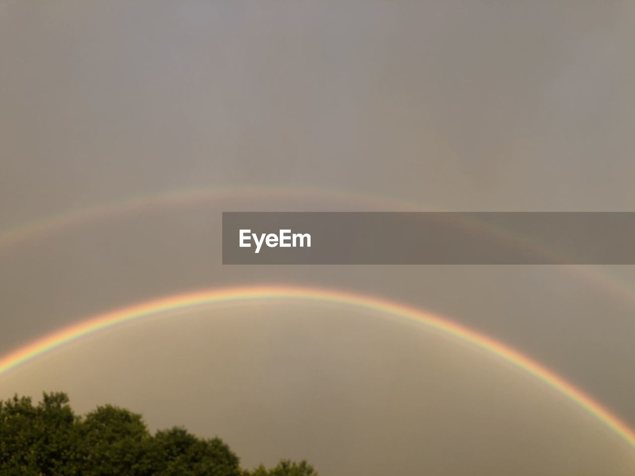 LOW ANGLE VIEW OF RAINBOW OVER TREES AGAINST SKY