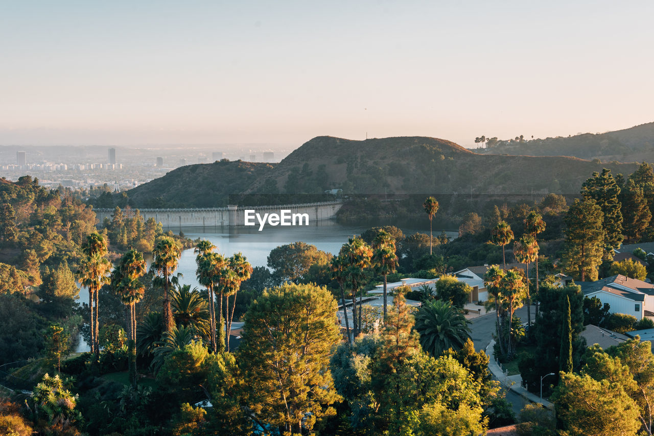 SCENIC VIEW OF TREES AGAINST CLEAR SKY