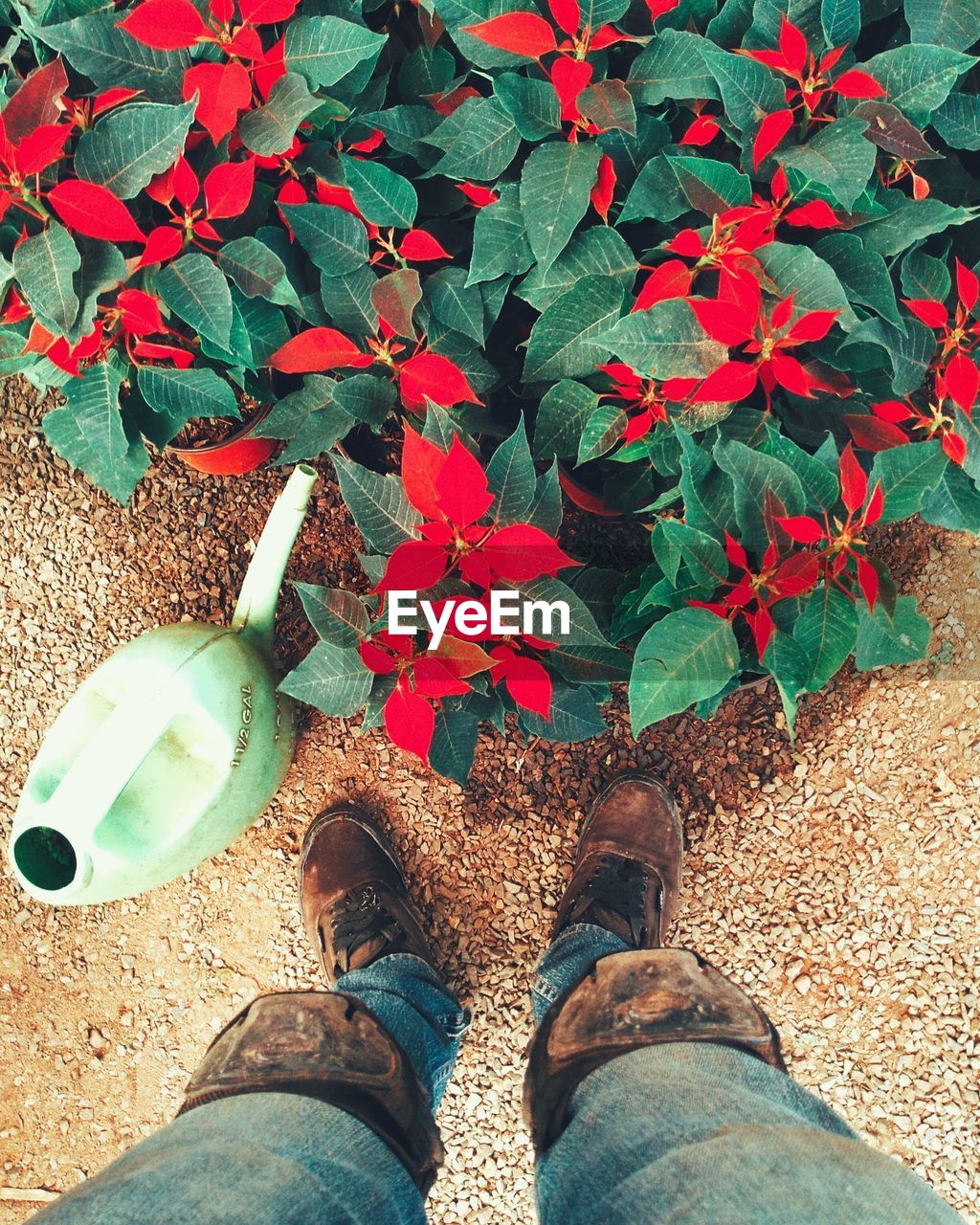 Low section of man standing by plants